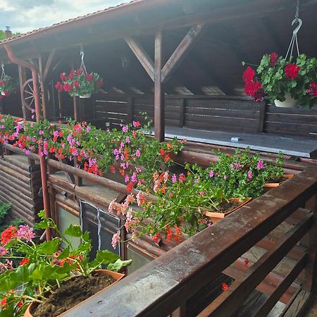 Casa Baciu Villa ทูร์ดา ภายนอก รูปภาพ