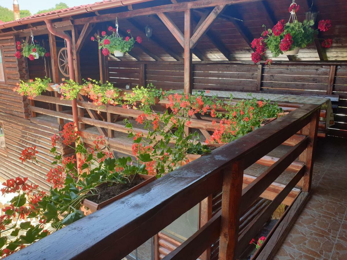 Casa Baciu Villa ทูร์ดา ภายนอก รูปภาพ
